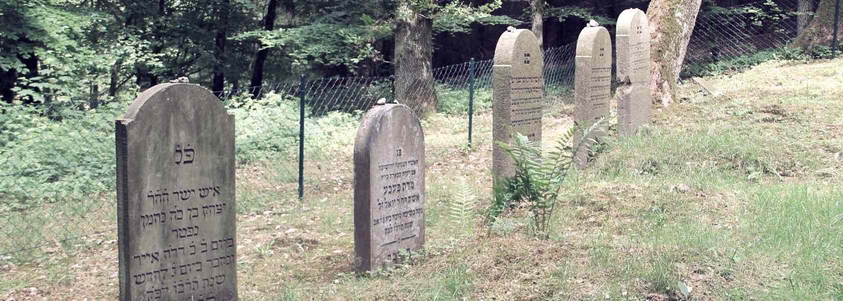 Die Juden in Mecklenburg